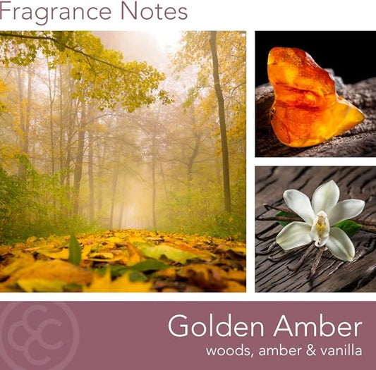 CAROLINA Golden Amber Scented Candle, 16 oz Wellness Relaxing Aromatherapy Candle, 2 Wick White Jar Soy Blend Wax, Candles for Home, 60H Burn - Made in The USA