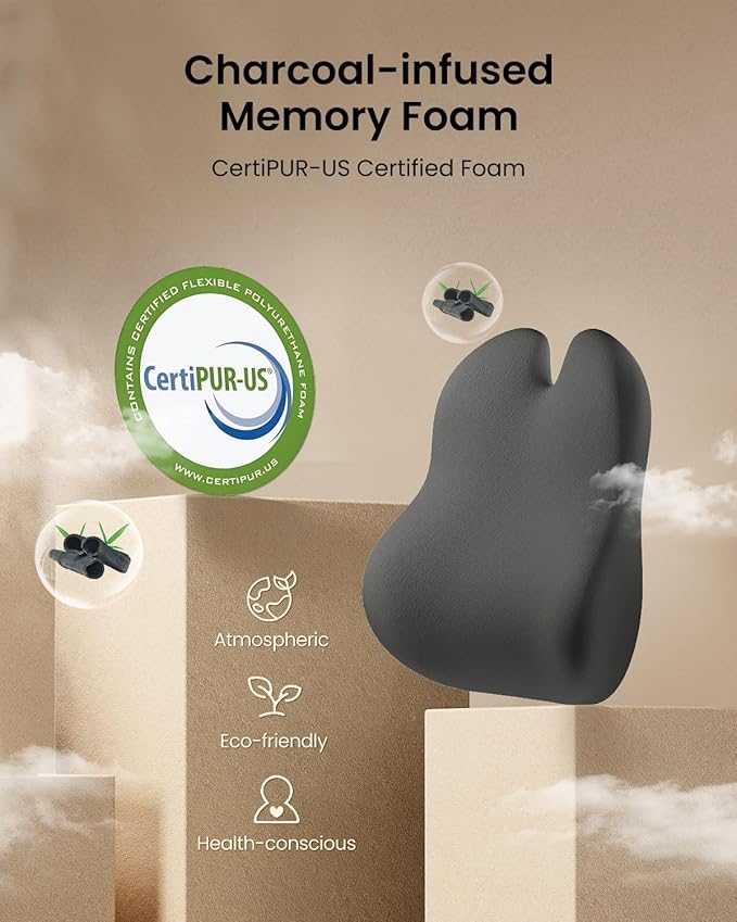 ProtoArc Lumbar Support Pillow for Office Chair, Memory Foam Back Support Pillow for Lower Back, Lumbar Cushion Desk Chair Back Cushion, Ergonomic Back Rest for Chair, Car, Home - Black