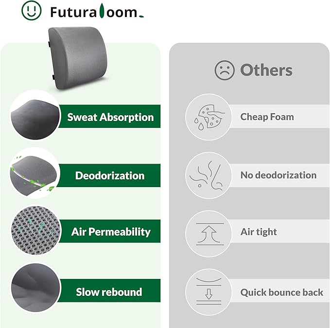 Lumbar Support Pillow for Office Chair and Car,Back Support for Office Chair,Charcoal Memory Foam Back Cushion with Breathable Mesh Cover,Double Adjustable Straps,Grey