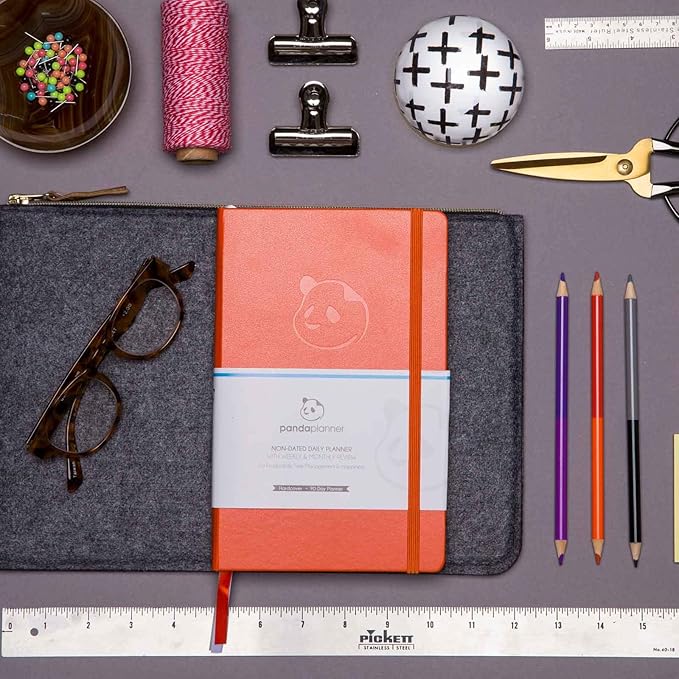 Panda Planner Daily Planner 2025-2026 – Classic Undated Productivity Planner & Hourly Schedule Notebook – Day Planner for Focus & Goals – Orange