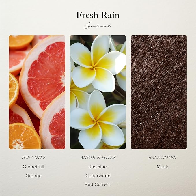 Scentiment Diffuser Oil - Fresh Rain | Aromatherapy Home Fragrance | Luxurious Scent with Notes of Fresh Grapefruit and Crisp Red Currant (120 mL)