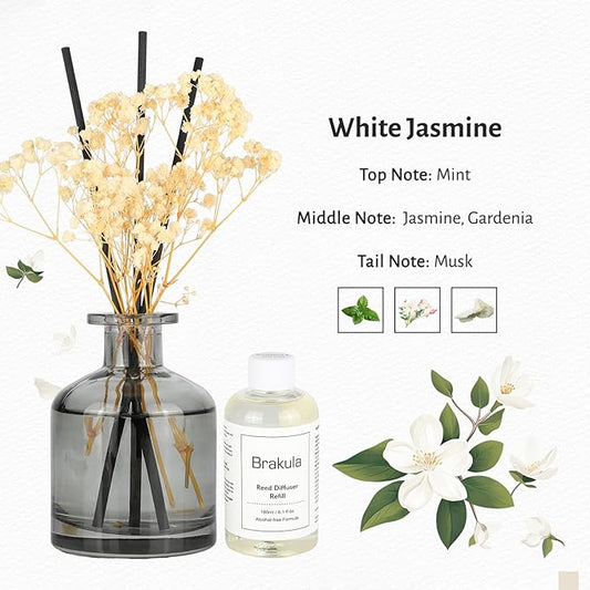 Brakula Reed Diffuser Set, 6.09 fl oz (180 ml)- White Jasmine with 8 Reed Sticks, Home Fragrance Reed Diffuser for Bathroom Shelf Decor