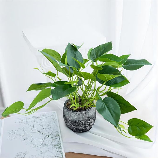 AlphaAcc Artificial Plants Potted Real Looking Small Faux Plant with Rustic Black Cement Planter for Kitchen Office Desk Bookshelf Decor (Ivy Plant)