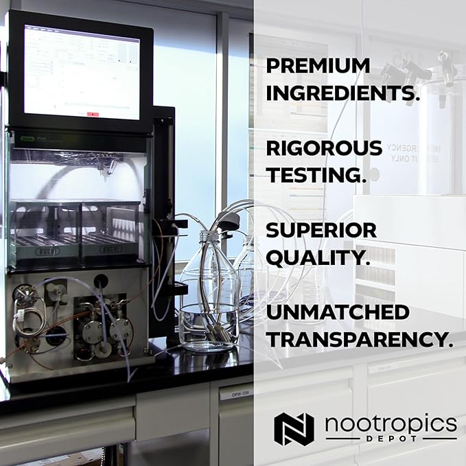 Nootropics Depot Lions Mane Mushroom Capsules | 8:1 Whole Fruiting Body Dual Extract | 500mg | 60 Count | Hericium erinaceus