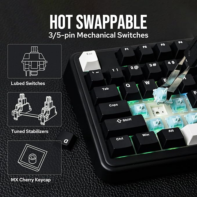 EPOMAKER TH99 Tri-Mode Wireless Mechanical Keyboard with 8000mAh Battery, Hot Swappable Custom RGB Gaming Keyboard with Numpad, Gasket Creamy for PC/Mac/Office (Black)