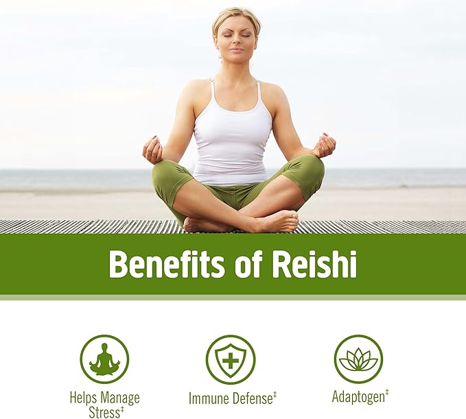 Om Mushroom Superfood Reishi Organic Mushroom Powder, 100 Servings, Organic Adaptogen Powder for Stress Relief and Immune Health