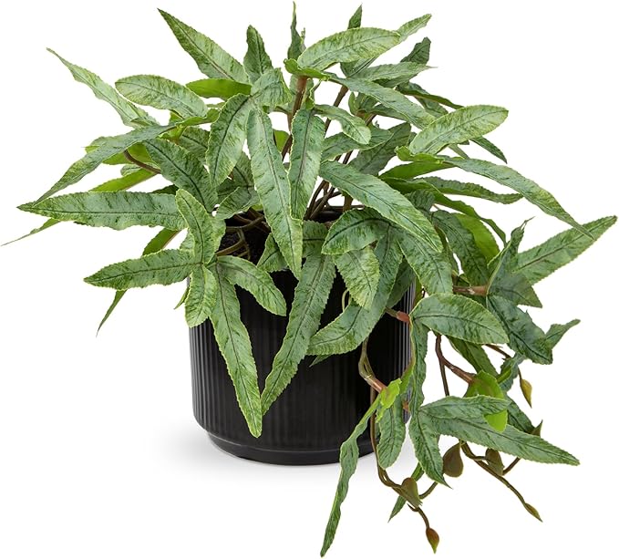 Briful Faux Plants Indoor 9'' Artificial Potted House Plant with Black Ceramic Pot Fake Pteris Cretica Fern Plant for Home Office Room Desk Shelf Decor Indoor