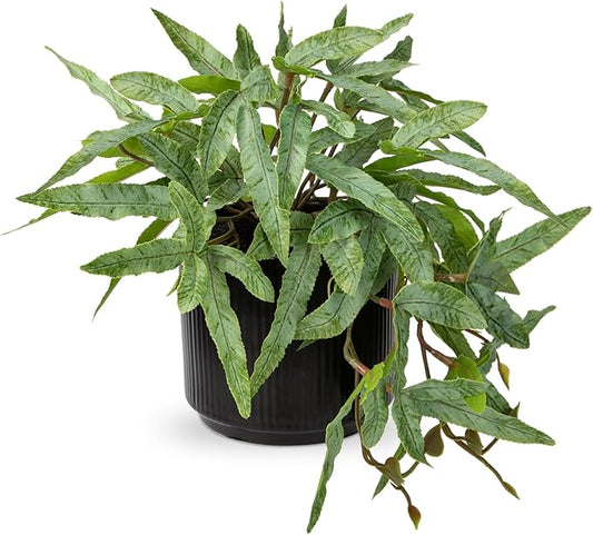 Briful Faux Plants Indoor 9'' Artificial Potted House Plant with Black Ceramic Pot Fake Pteris Cretica Fern Plant for Home Office Room Desk Shelf Decor Indoor