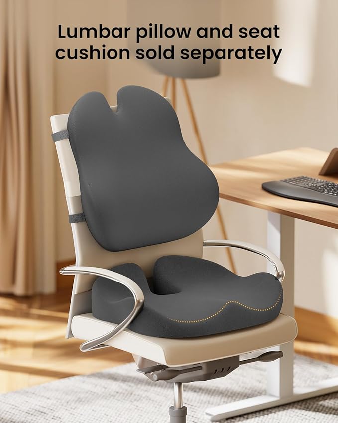 ProtoArc Lumbar Support Pillow for Office Chair, Memory Foam Back Support Pillow for Lower Back Fatigue Relief, Lumbar Pillow Desk Chair Back Cushion, Ergonomic Back Rest for Chair, Car - Dark Gray