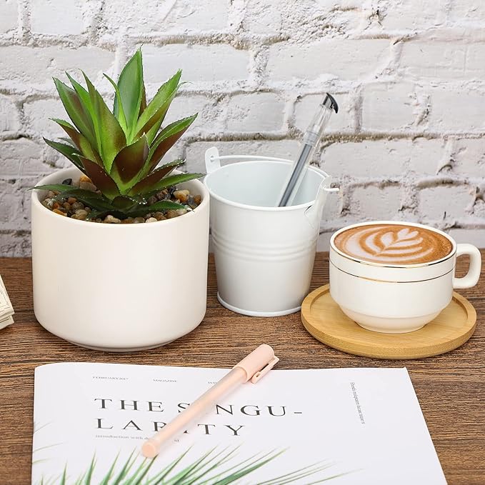 Hopewood Artificial Succulents in Pot, Fake Potted Pineapple Succulents Plants with Ceramic Pot and Wooden Tray, Potted Artificial Plants for Home, Office Desk and Bathroom Decor 6.8inch×4.3inch