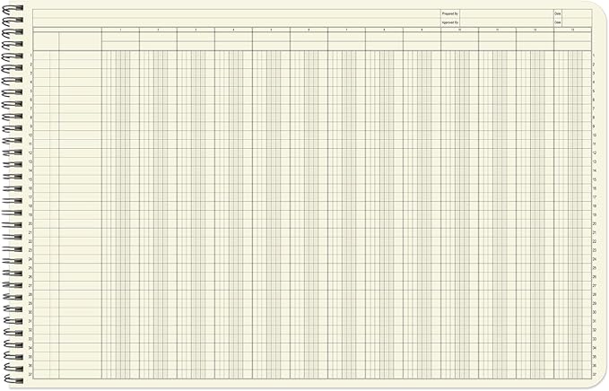 BookFactory Accounting Ledger Notebook/Large 13 Column Accounting Ledger Columnar (Thirteen Columns) Log Book - 17'' x 11'', 100 Pages, Wire-O Landscape Format (LED-100-CLCW-PP(17x11-Ledger-13)-AX)