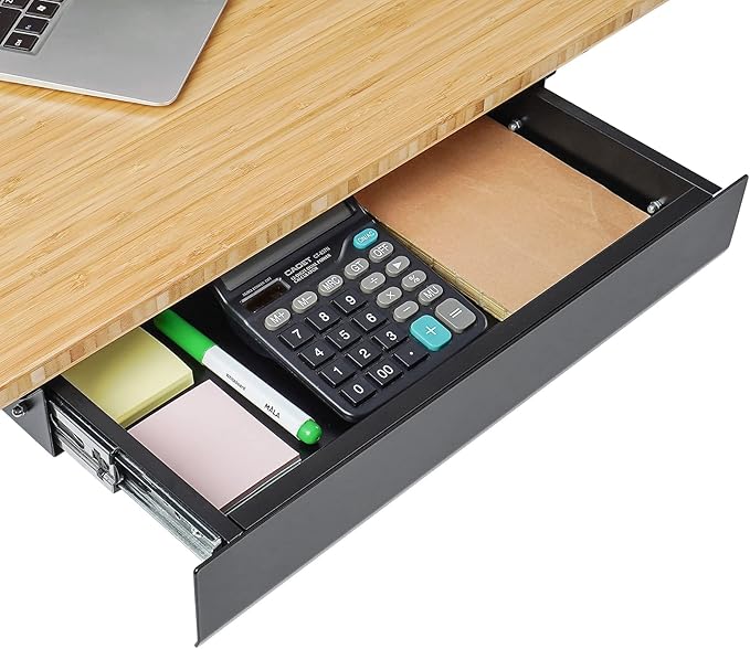 FLEXISPOT Under Desk Pull-Out Drawer Standing Desk Storage Organizer, Sliding Security Workstation Drawers (L, Black)