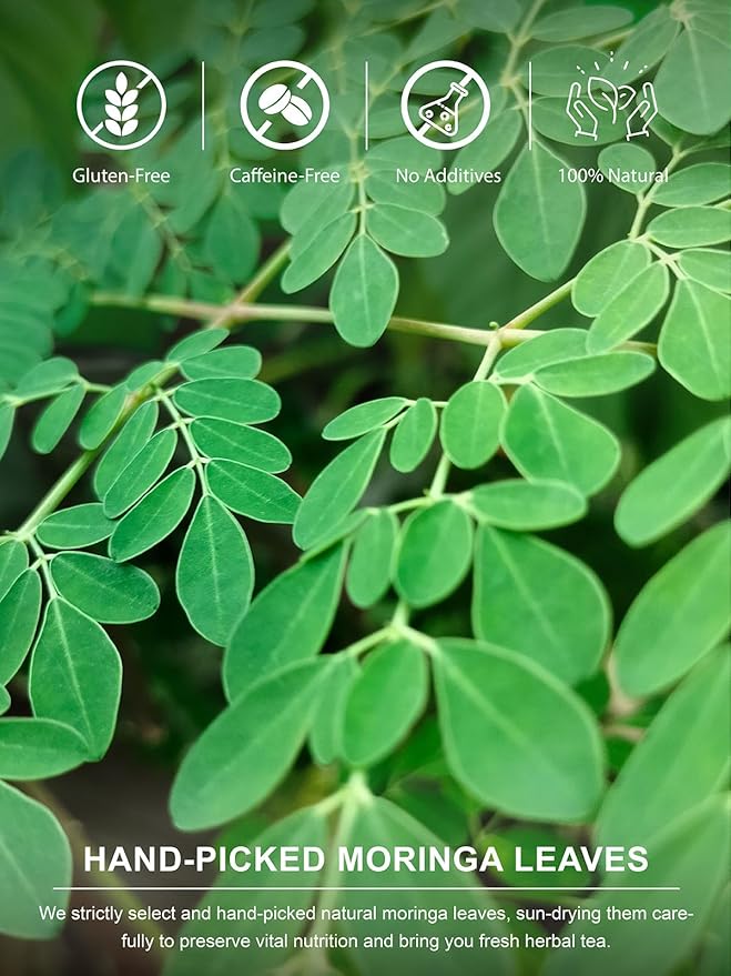 TeeLux Moringa Tea Bags, Natural Moringa Leaf Tea, Fresh & Smooth Taste, Caffeine Free, 100 Count