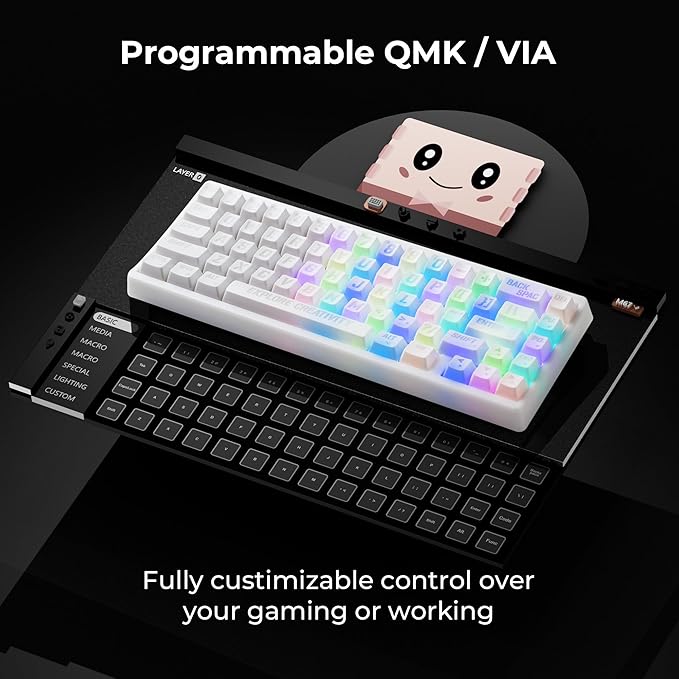 XVX M67 Wireless 60% Percent Keyboard, QMK/VIA Topographic Gaming Keyboard, Tri-Mode Thocky Creamy Mechanical Key Board, Hot Swappable Gasket Mount RGB IMD Tech for Win/Mac, Miami Theme, White