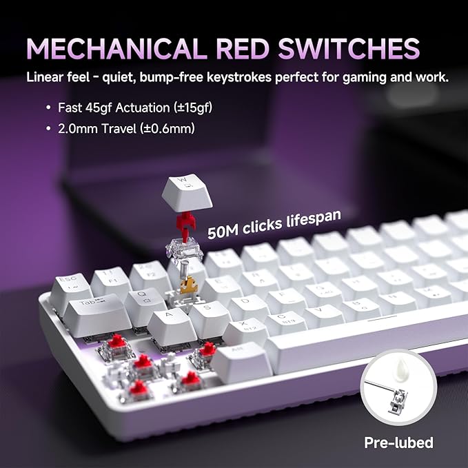 DIERYA DK68 Wireless Mechanical Keyboard, 60% Gaming Keyboard with Red Switch, Triple Mode 2.4GHz/USB-C/BT5.0, RGB Backlit, Anti-Ghosting Keys, 68 Keys Portable Mini Wired Office Keyboard-White
