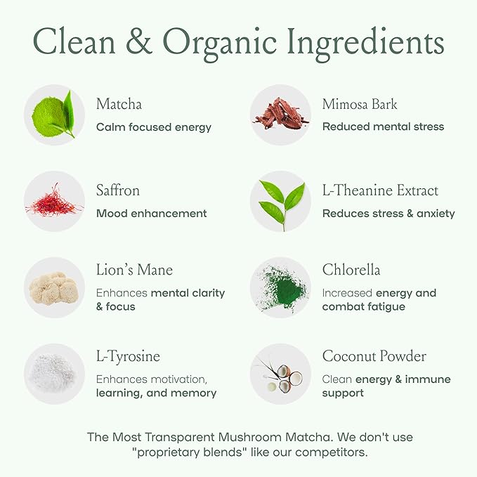 SPACE AND TIME Create - Mushroom Matcha Tea - 20 Cups of Creativity, Energy & Enhanced Mood - Organic Matcha Powder with Lions Mane, L-Theanine & Saffron