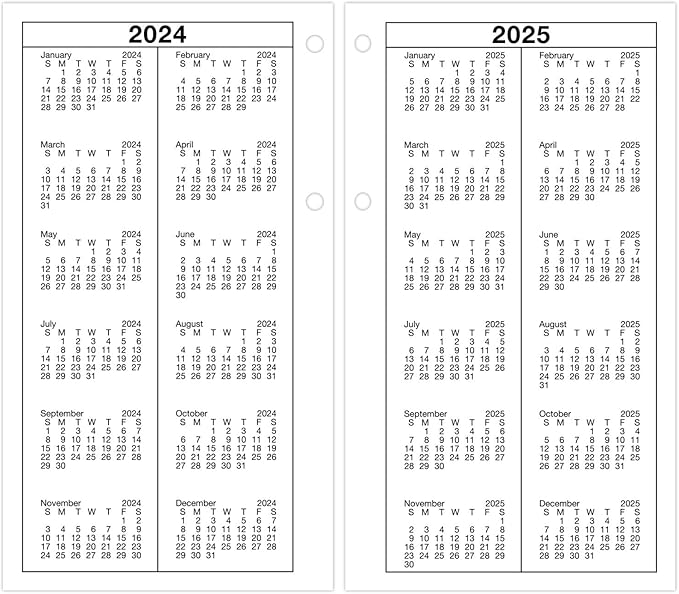 AT-A-GLANCE 2025 Desk Calendar Refill, Daily, 4-1/2" x 8", Large, Loose-Leaf (E2105025)