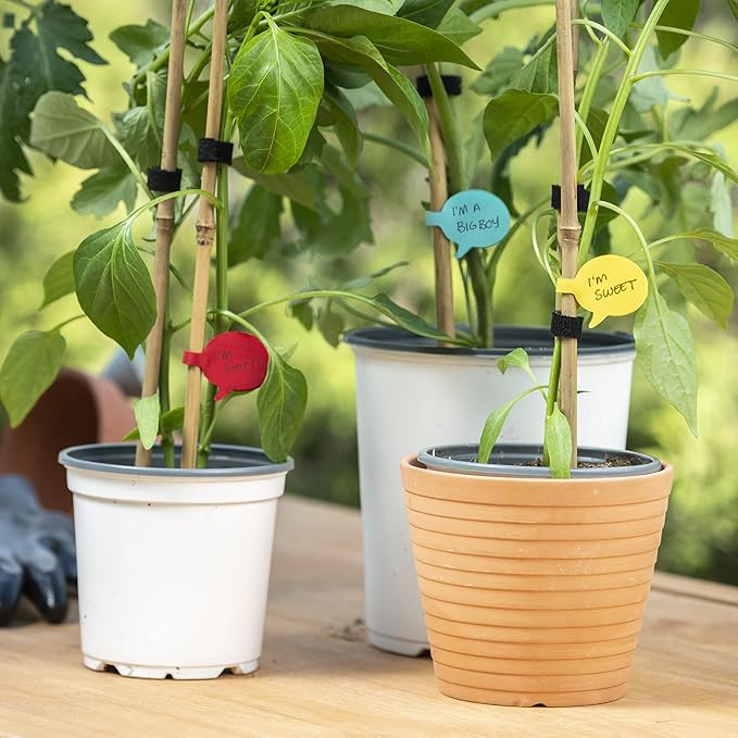 Wrap-It Multi-Color (36-Pack) Storage Cable Labels - Speech Bubbles, Wire Tags for Cable Management and Organizer