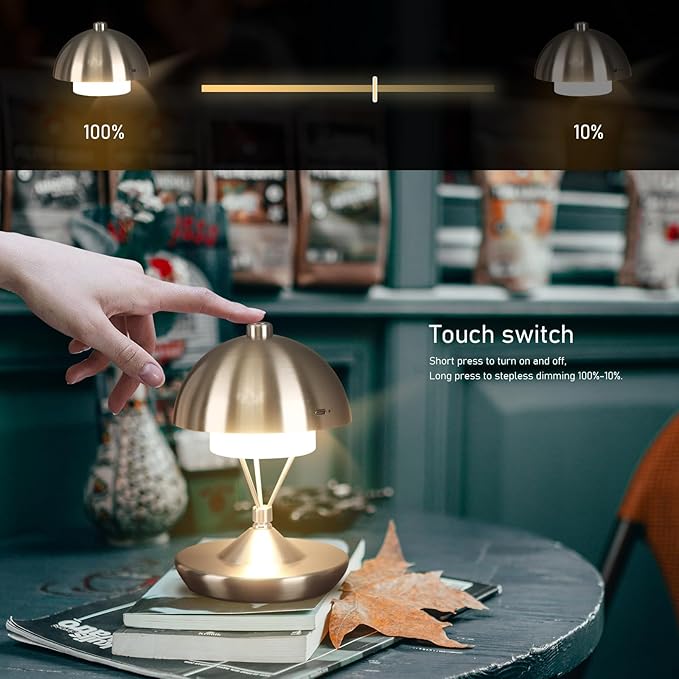 Modern Table Lamp Cordless Portable Desk Lamp, 2700K Stepless Dimming Rechargeable Battery Operated LED Lights for Bedroom, USB-C Charging, Restaurant/Bar/Night Light/Gifts (Brushed Nickel)