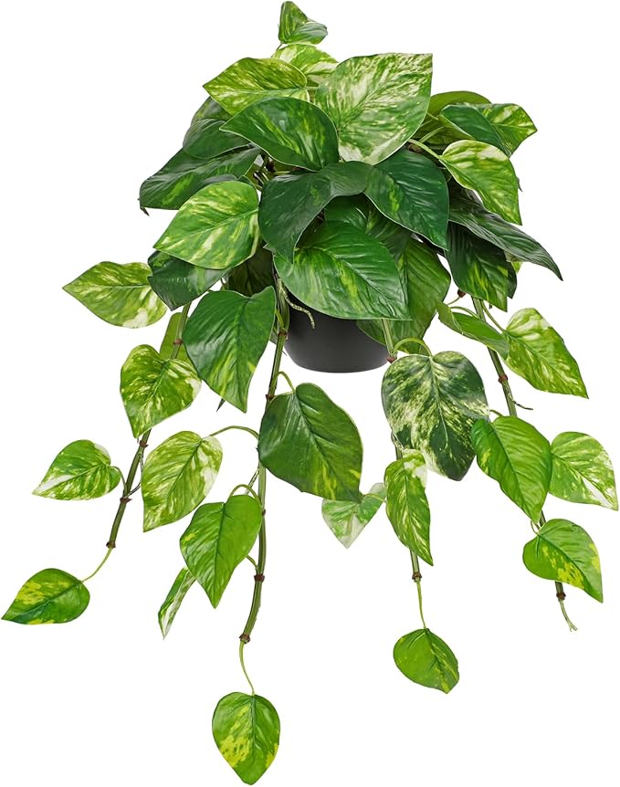 Hollyone Artificial Hanging Pothos Plants Potted Fake Ivy Faux Pothos Vine Leaves Hanging Greenery Plant in Black Pot for Home Indoor Tabletop Bedroom Patio Shelf Office Decor