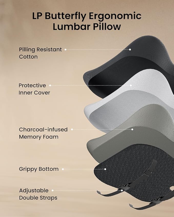 ProtoArc Lumbar Support Pillow for Office Chair, Memory Foam Back Support Pillow for Lower Back, Lumbar Cushion Desk Chair Back Cushion, Ergonomic Back Rest for Chair, Car, Home - Black