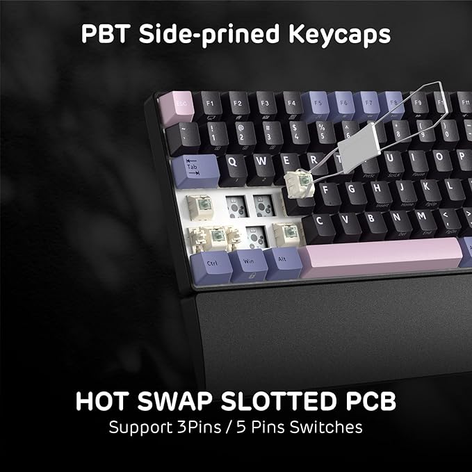 RK ROYAL KLUDGE RK96 RGB Limited Ed, 90% 96 Keys Wireless 3-Mode BT5.0/2.4G/USB-C Hot Swappable Mechanical Keyboard w/Wrist Rest, Volume Control, Software, Massive Battery, RK Pale Green Switch