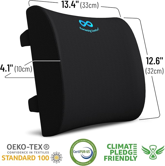 Everlasting Comfort Lumbar Support Cushion for Car Seat - Memory Foam Back Cover for Car - Lumbar Support Promotes Better Posture, Back Pain Relief - Ideal for Driving