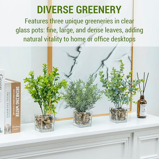 MyGift Artificial Rosemary Eucalyptus and Boxwood Plants Potted in Clear Glass Square Pots, Assorted Faux Greenery Indoor Home Table Centerpiece Office Desk Decor, 3 Piece Set