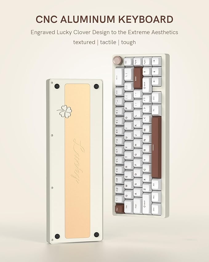 Womier SK65 Wireless Mechanical Gaming Keyboard with Knob, 60 Percent Creamy Aluminium Keyboard for PC, Bluetooth 5.0/2.4GHz/USB-C Wired, Hot Swappable Custom Lineaner Switch, RGB Backlit, Beige