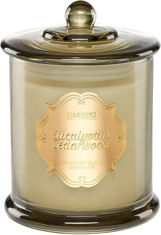 M&SENSE Eucalyptus Cedarwood Scented Candles, 2 Wick 12.7oz Large Jar Candle 75H Long Lasting, Plant-Based Non Toxic Natural Soy Wax, Aromatherapy Candles for Stress Relief,Gifts for Men Women Father
