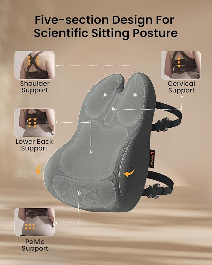 ProtoArc Lumbar Support Pillow for Office Chair, Memory Foam Back Support Pillow for Lower Back Fatigue Relief, Lumbar Cushion Desk Chair Back Cushion, Ergonomic Back Rest for Chair, Car - Gray