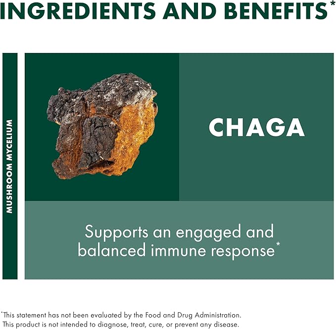 Host Defense Chaga Extract - Immune System Support Supplement - Chaga Mushroom for Antioxidant Activity Support - Liquid Dietary Mushroom Supplement - 2 fl oz (60 Servings)*