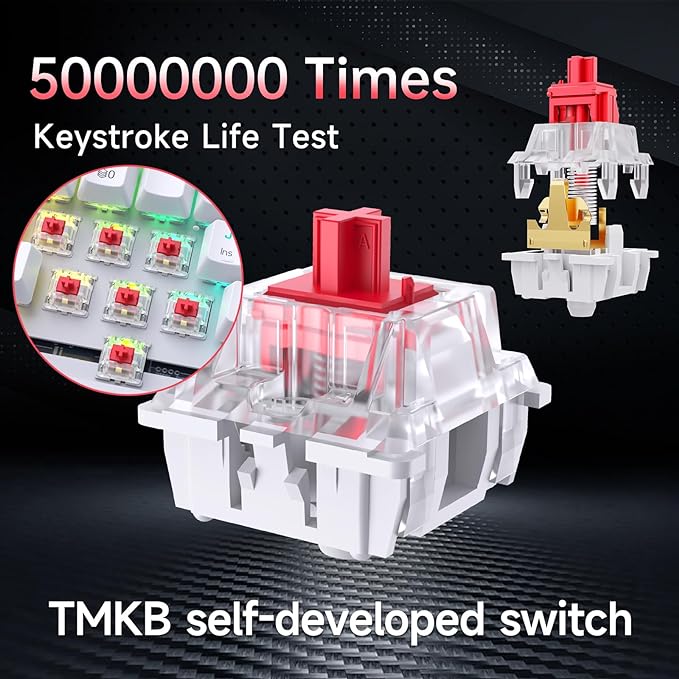 DIERYA DK63 60% Wireless Mechanical Gaming Keyboard | Bluetooth/2.4G/Wired | RGB Backlit | Anti-Ghosting Compact 63-Keys Mini Keyboard | with Red Switch | for Windows Laptop PC Gamer Typist-White