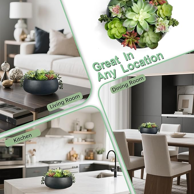 Artificial Succulent Plants Fake Potted Indoor with Ceramic Pot - Home Office, Bedroom, Bathroom Decor - Low Maintenance Desk Plants for Coffee Table & Room Aesthetics（Black）