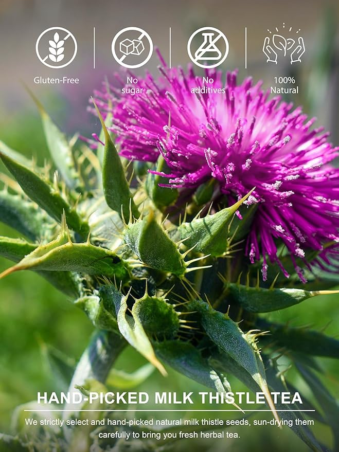 TeeLux Milk Thistle Tea Bags, Natural Milk Thistle Seed Tea, Mild & Mellow Taste, Caffeine Free, 100 Count
