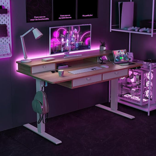 Adjustable Height Standing Desk with 4 Drawers,55 x 30 inches Electric Sit Stand Home Office Desk with Two Tiers, 3 Memory Presets, Monitor Stand Riser, USB A/C Charging Port