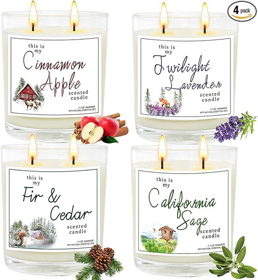 4 Pack Large Jar Candles with Double Wicks, Scented Candles for Home, 11.3oz Each, 240 Hour Burn Time, Aromatherapy Gift Set for Women, Cinnamon Apple, Lavender, Fir & Cedar, California Sage