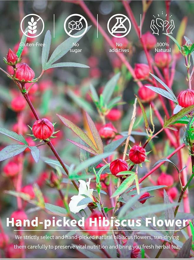 TeeLux Hibiscus Tea Bags, Premium Natural Hibiscus Flowers Tea, Caffeine Free, Refreshing Tart Flavor, 100 Count