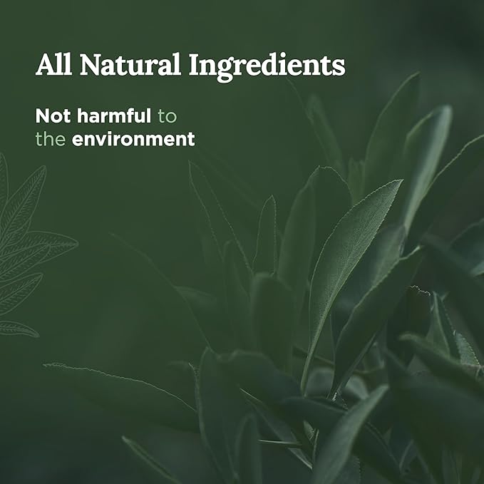 Magnificent 101 Long Lasting Pure Sage Smudge Candle - 6 Oz - 35 Hour Burn Time - Soy Wax Candle for House Energy Cleansing, Aromatherapy & Manifestation - Spiritual Gifts for Women