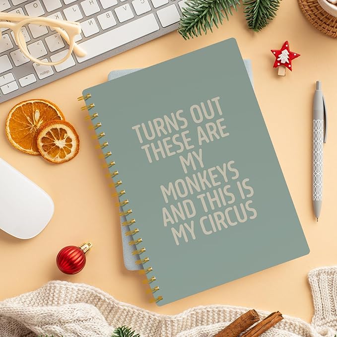 Funny Notebooks for Work,Sage Green Aesthetic Journal, Funny Boss Day Gifts, Boss Gifts for Men Women, Funny Gifts for Boss, Boss Office Decor, Spiral Notebook 5.5x8.3 Inch