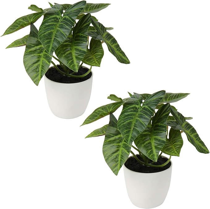 Briful 2 PCS Artificial Potted Alocasia Begonia Calathea Plants Mini Fake Plants in Plastic Pot Small Greenery Faux Plants Indoor for Home Office Desk Room Table Bathroom Bedroom Decorations