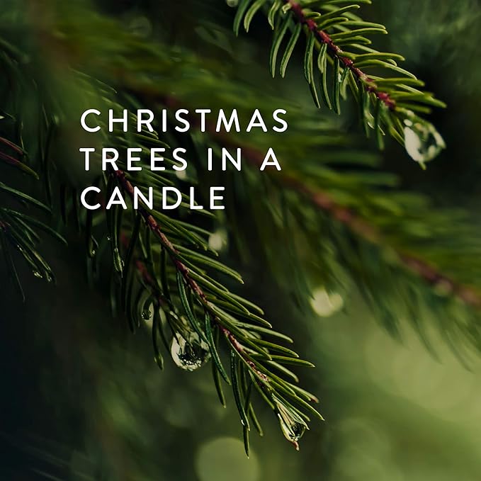 Thymes Frasier Fir Reed Diffuser Set – Includes Reeds, Fragrance Oil, and Frosted Glass Bottle – Fragrance Oil Diffuser – Room Fresheners – Luxury Home Decor – Green & Clear (Pine Needle, 4 fl oz)