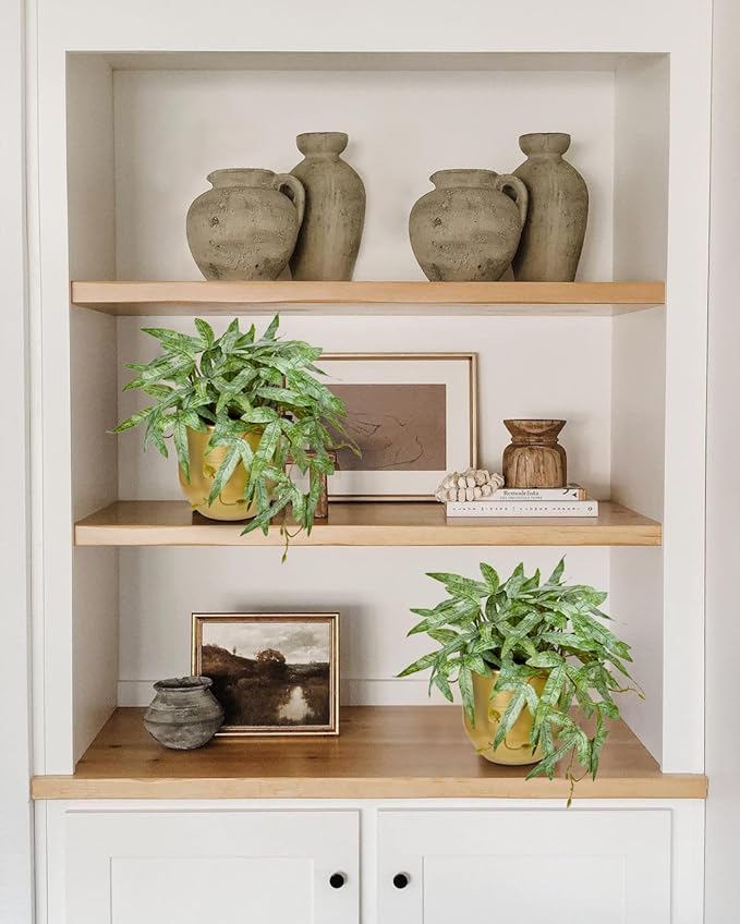 Briful Faux Plants Indoor 9'' Small Artificial Plant with Gold Pot Fake Pteris Cretica Fern Plant for Home Office Room Desk Shelf Decor Indoor