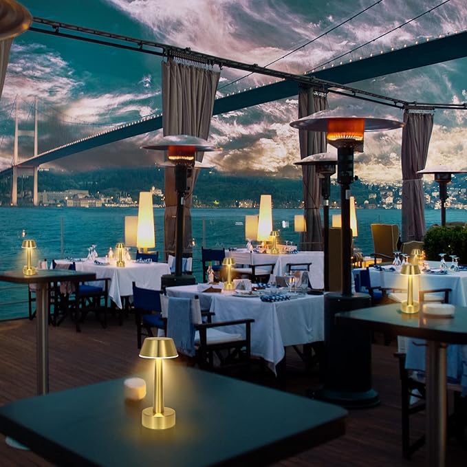 Egobasic Cordless Small Table Lamp, Gold Battery Operated Lamp for Restaurant Dinner Table, Rechargeable Dimmable Night Light Touch Portable Lamp for Bedside Dining Room Patio Bar Outdoor Décor