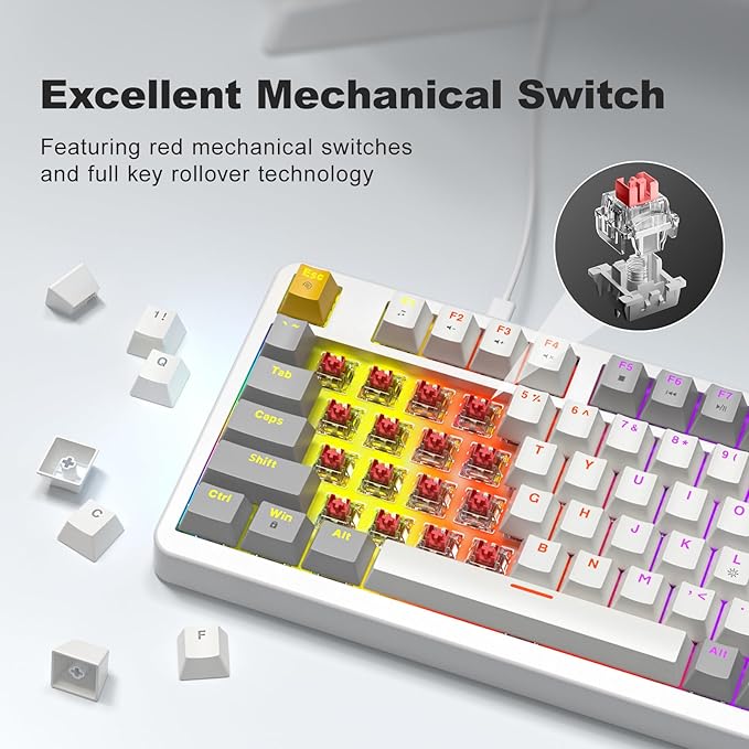 GEEZER AK96 Mechanical Gaming Keyboard - Pre-Lubed Red Switches, 96 Keys Full Size with LED Colorful Backlit, Clicky Creamy Sound, USB Wired Computer Keyboard with Volume Knob for PC, Mac, Windows