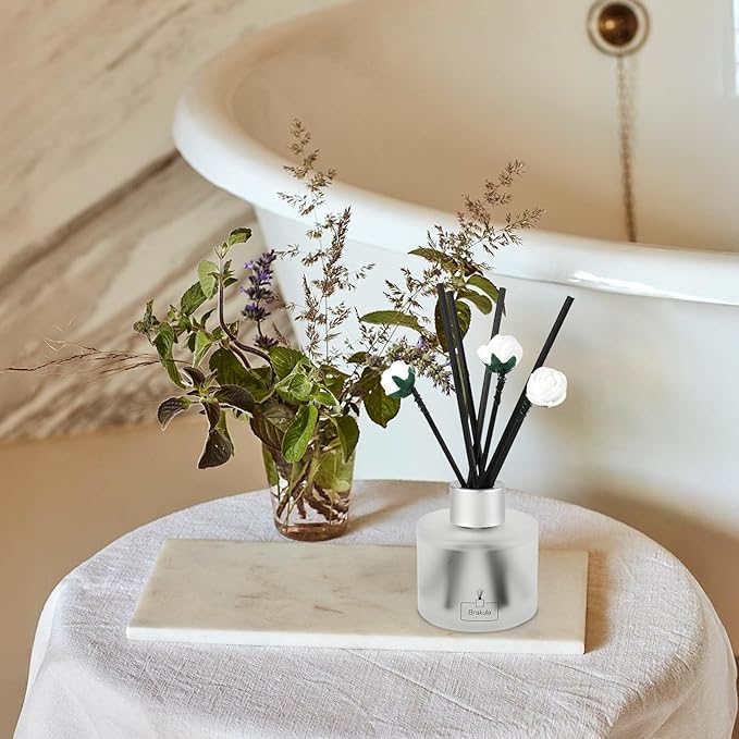 Brakula 2 Pack Reed Diffuser Set, Eucalyptus & Mint Scented, Home Fragrance with 14 Sticks Bathroom Decor, Reed diffusers for Home 6.76 fl oz (Eucalyptus & Mint)