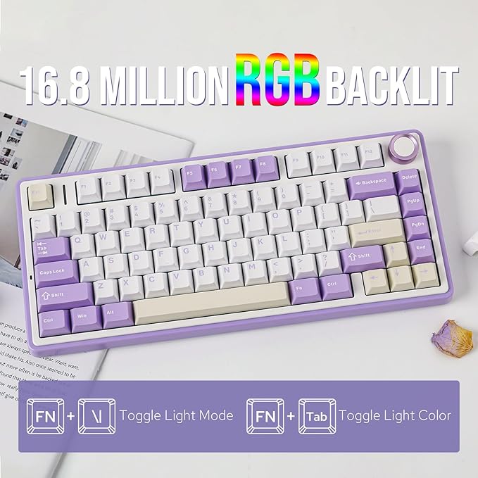 EPOMAKER x Aula F75 Gasket Mechanical Keyboard, 75% Wireless Hot Swappable Gaming Keyboard with Five-Layer Padding&Knob, Bluetooth/2.4GHz/USB-C, RGB (Purple, LEOBOG Reaper Switch)
