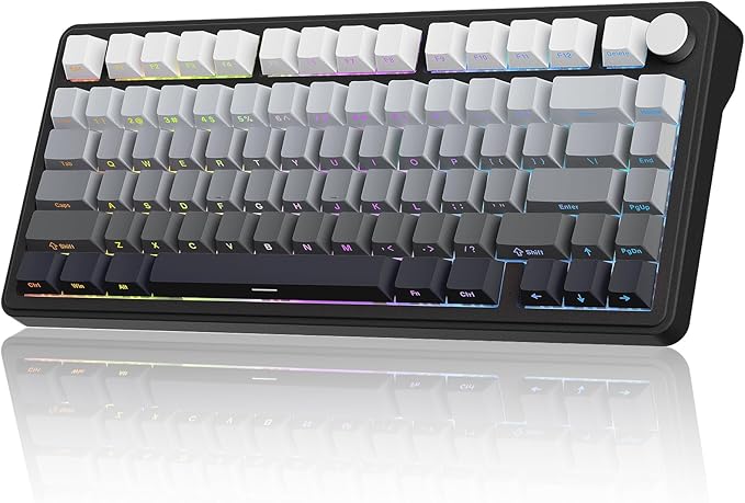 CHICHEN M75 Wireless Mechanical Gaming Keyboard, 75% Layout, Hot-Swappable, RGB Backlit, PBT Keycaps,tri-Mode Connection with Bluetooth 5.0, 2.4GHz Wireless, and USB-C, White & Black