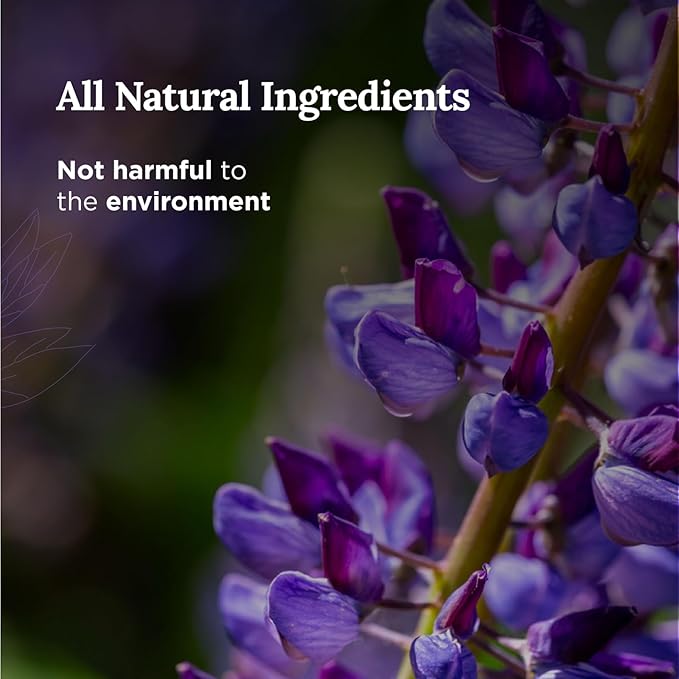 MAGNIFICENT 101 Sage & Lavender Aromatherapy Smudge Candle - 6 Oz - 35-Hour Burn Soy Wax - Energy Cleansing & Manifestation - Spiritual Decor & Meditation Accessories - Spiritual Gift for Women