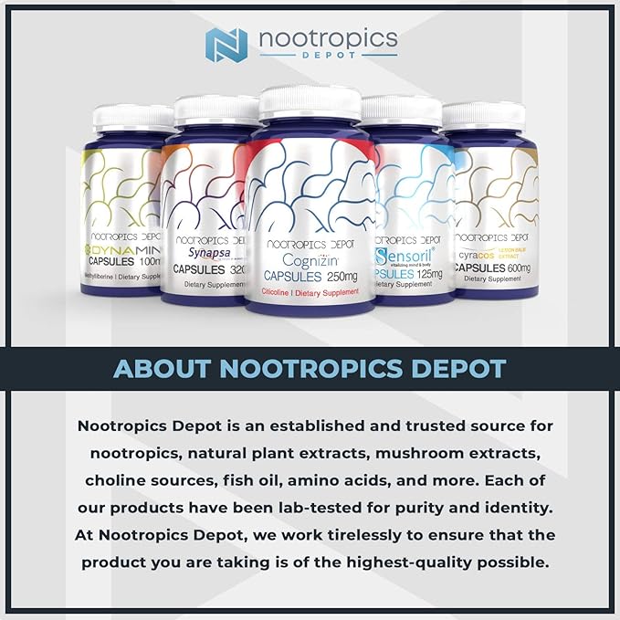 Nootropics Depot Cordyceps Mushroom Capsules |10:1 Whole Fruiting Body Extract | 250mg | 180 Count | Cordyceps militaris